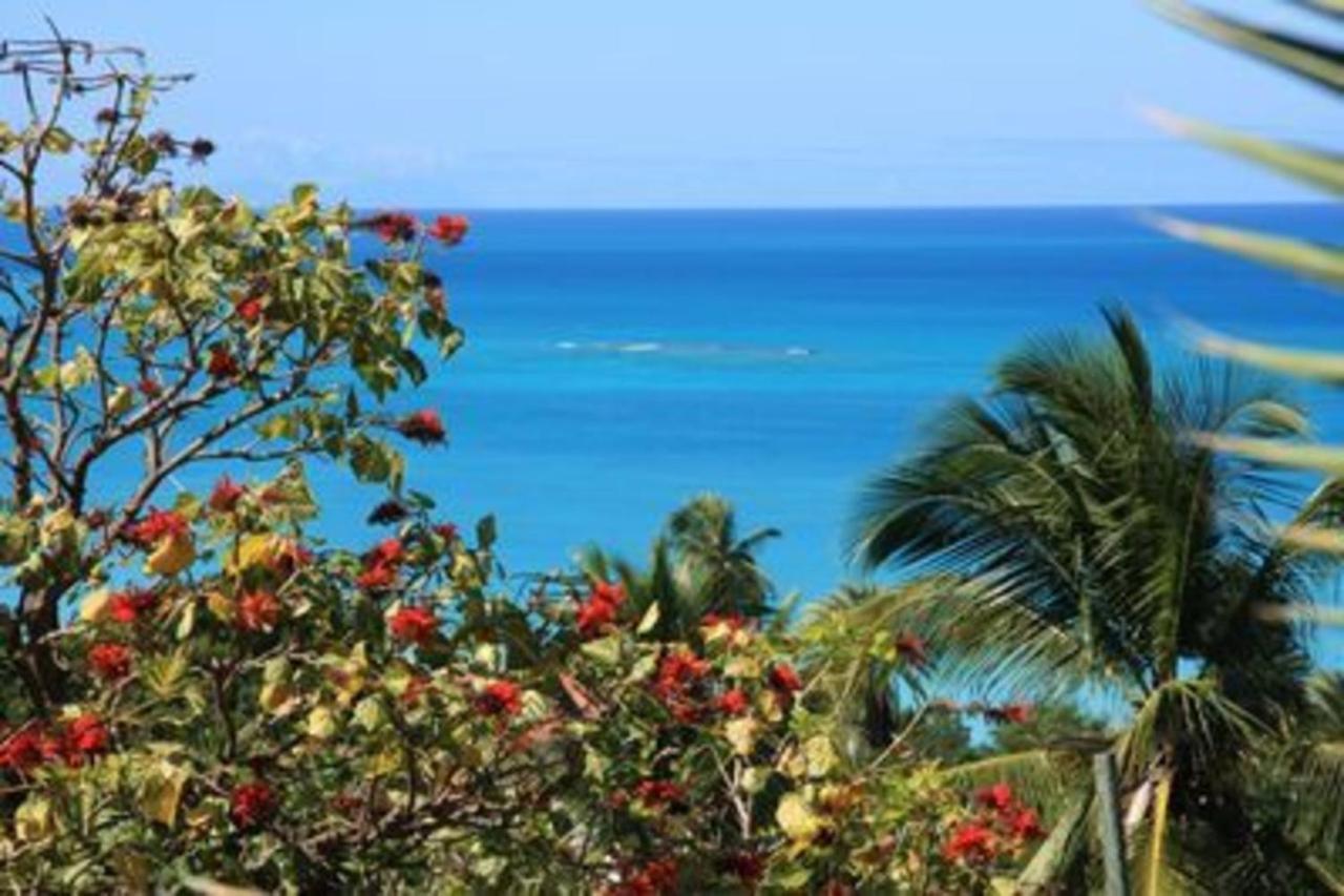 Attractive 2-Bed Apartment Stunning Sea View Dickenson Bay Exterior foto