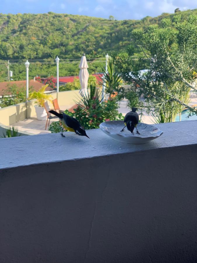 Attractive 2-Bed Apartment Stunning Sea View Dickenson Bay Exterior foto